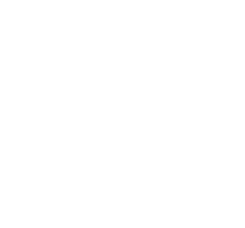 Bureau of Indian Standard